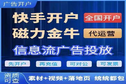百度SEO与广告结合的多元化推广策略——多行业成功案例