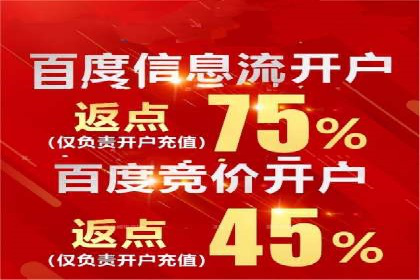 成功案例分享：SEM推广策略的制定与执行