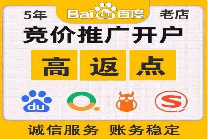 创新引领者：某信息流广告公司的技术突破案例
